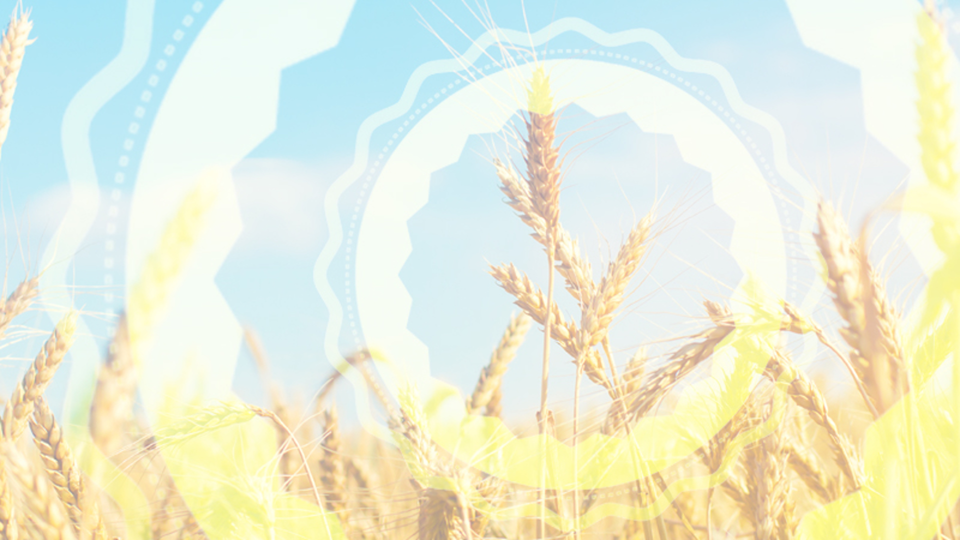 Policy Progress: Chamber Efforts Resulted in Postponing the Grain Standards Cancellation