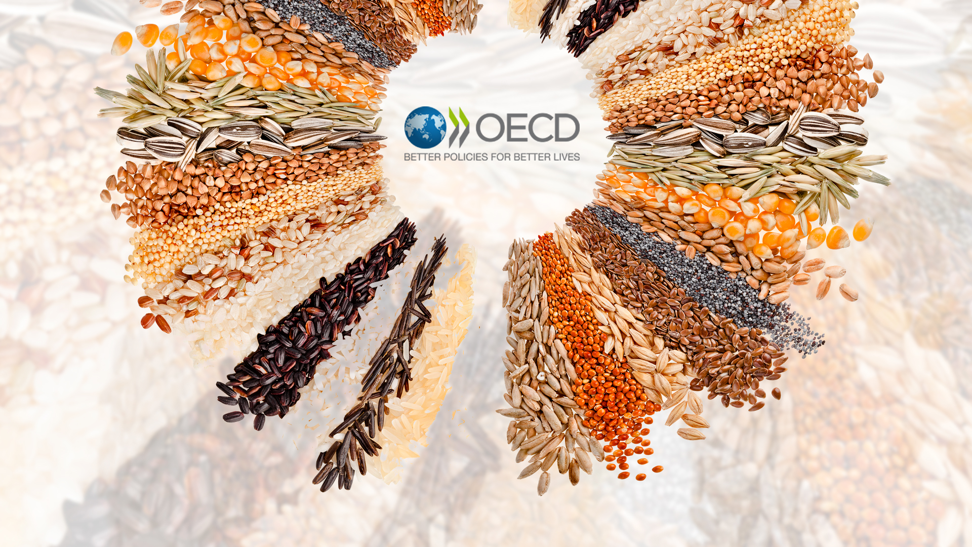 Policy Win: Verkhovna Rada Ratified Ukraine's Accession to the OECD Seed Schemes