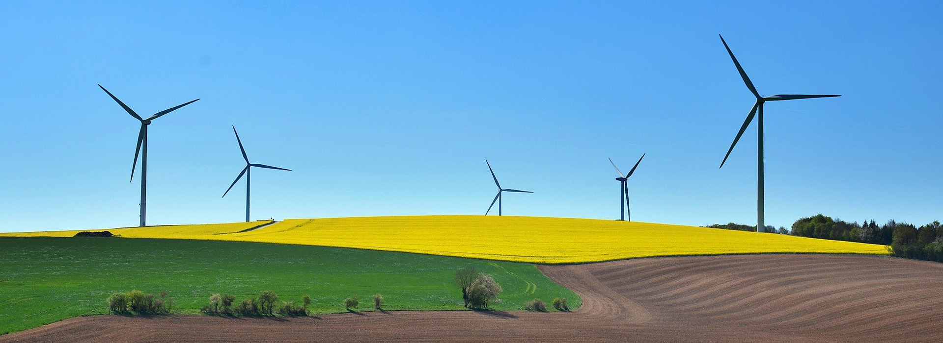 Policy Progress: The Parliament Passed Draft Law #3658 in the First Reading to Break the Deadlock in the Renewables Sector