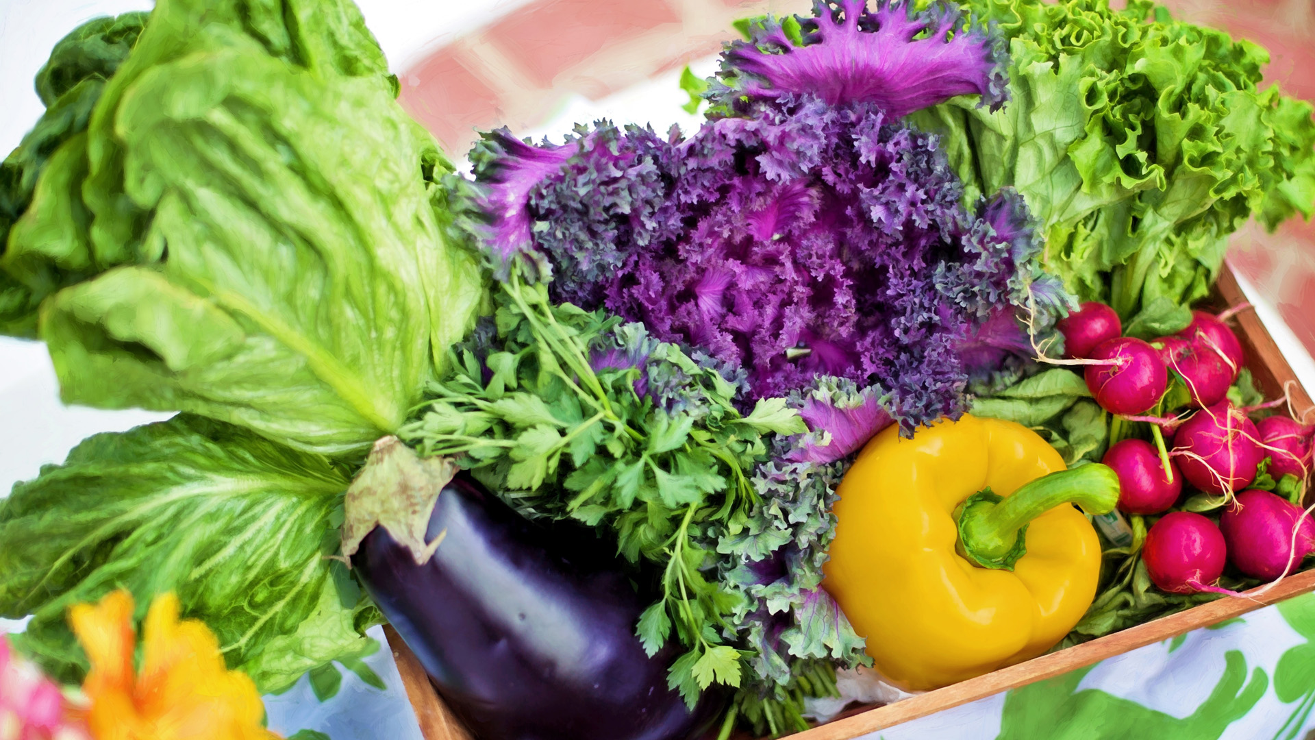 Policy Win: The Ministry of Health Harmonized Regulation of Contaminants in Food Products with EU Norms