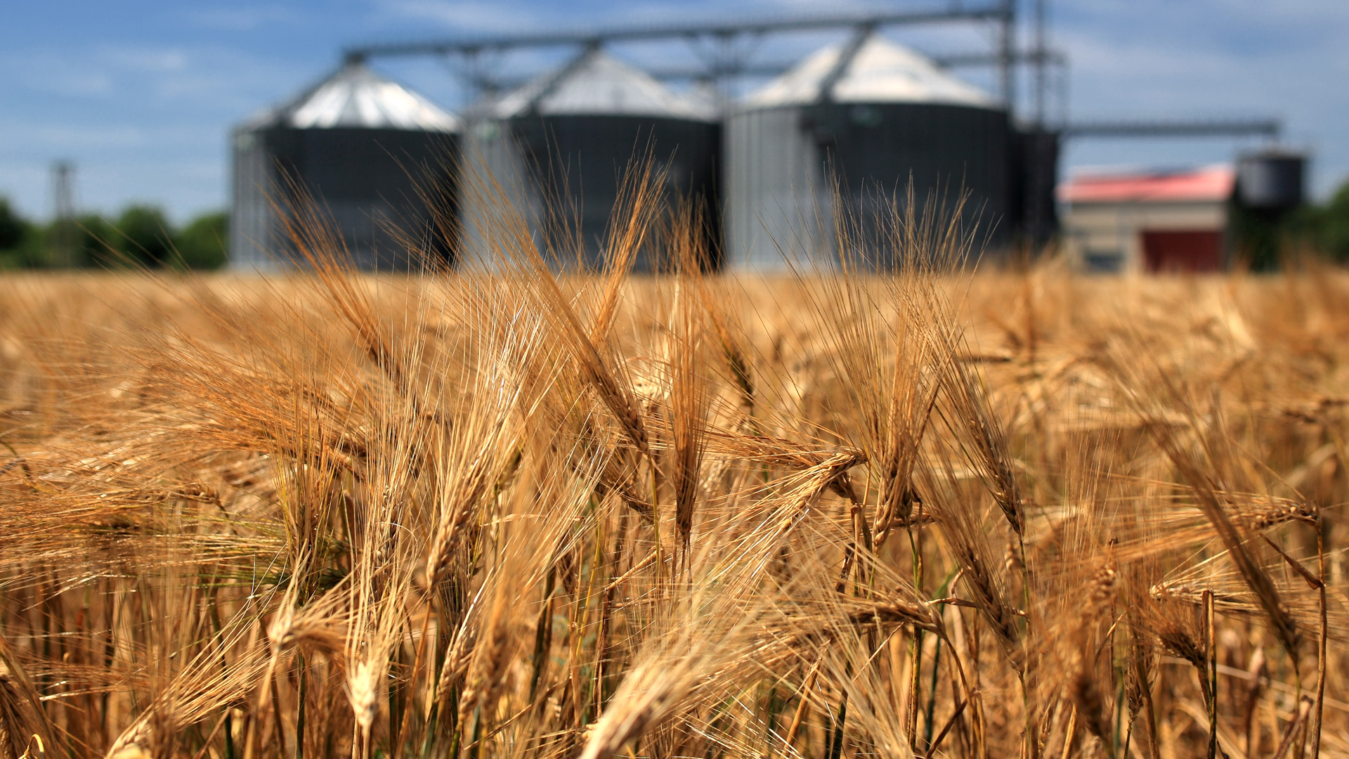 Policy Progress: The Parliament Passed the Draft Law on Amendments to the Tax Code of Ukraine on the VAT Rate on Transactions for the Supply of Certain Types of Agricultural Products in the First Reading