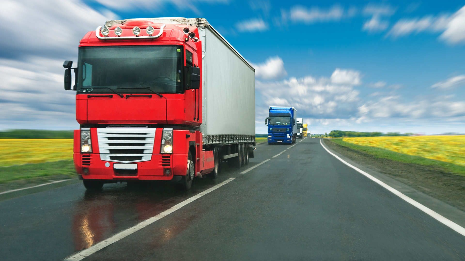 Draft Law Restricting Certain Movement of Freight Transport Was Withdrawn from Parliament’s Consideration