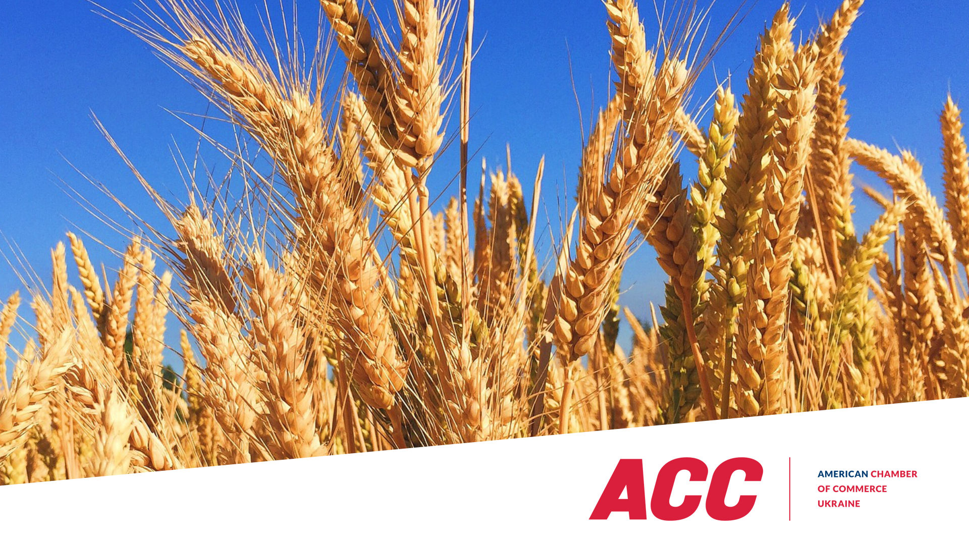 Policy Win: VAT Rate for Certain Agricultural Products Was Reduced to 14%