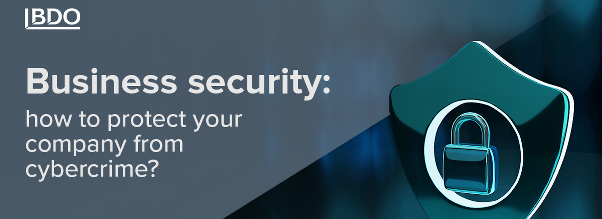 Business Security: How to Protect Your Company from Cybercrime?