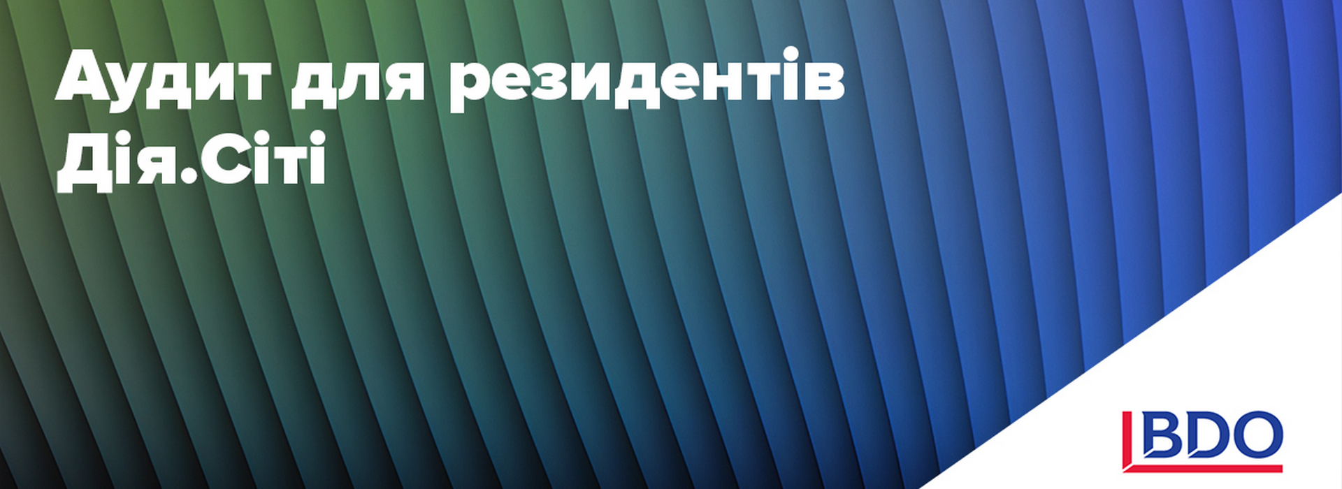 Audit of Diia.City Residents