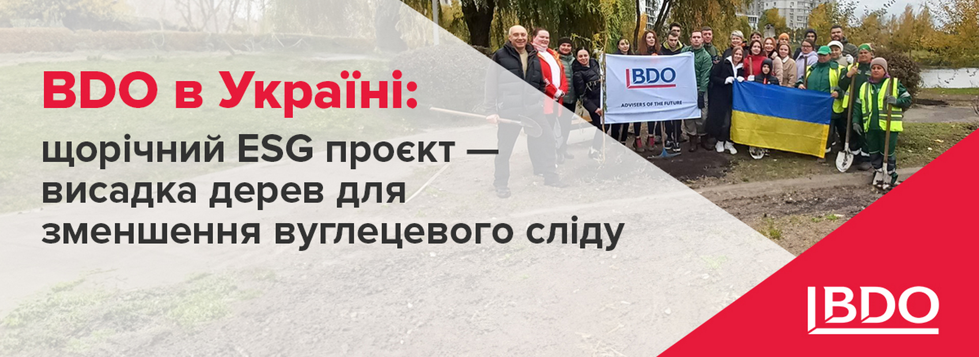 BDO в Україні: щорічний ESG проєкт — висадка дерев для зменшення вуглецевого сліду