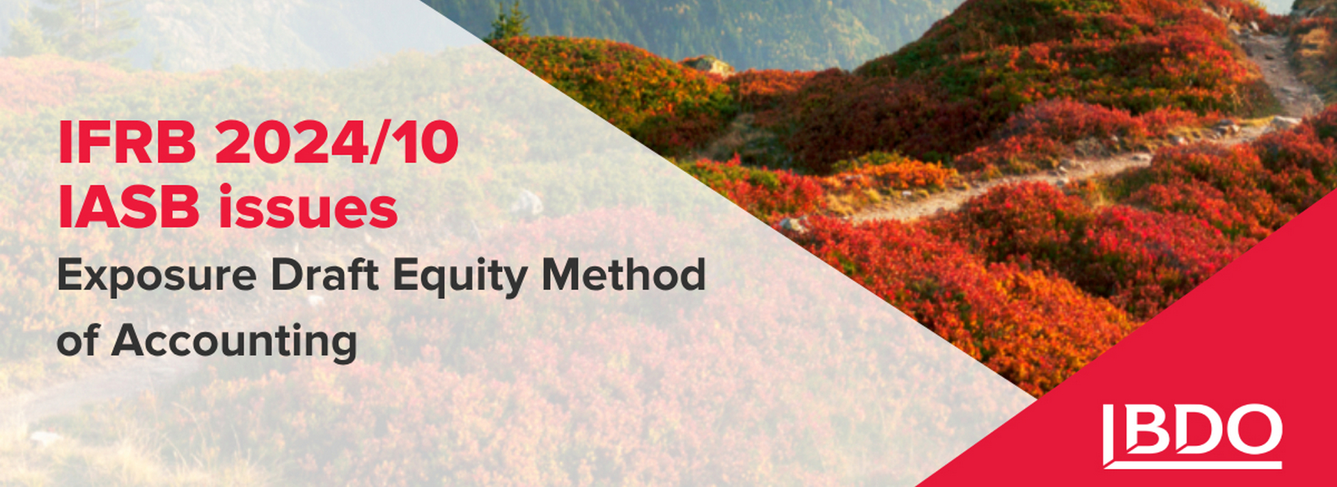 IFRB 2024/10 IASB Issues Exposure Draft Equity Method of Accounting