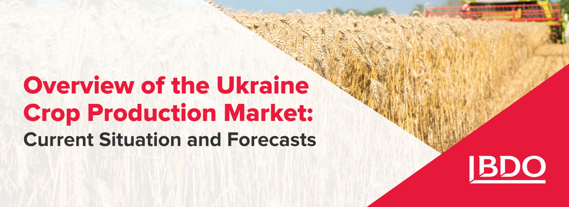 Overview of the Ukraine Crop Production Market: Current Situation and Forecasts