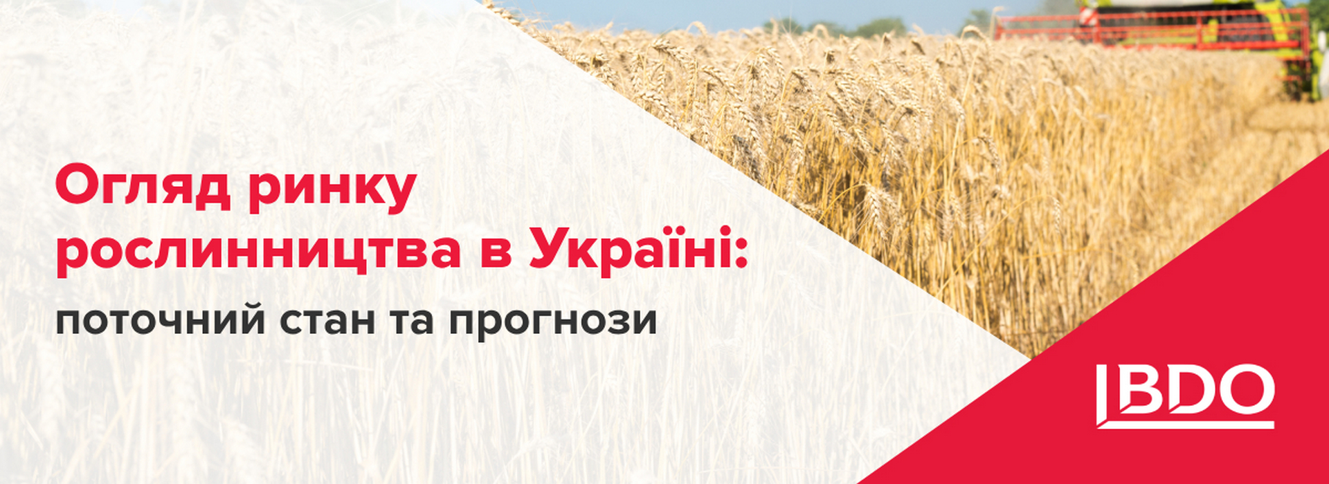 BDO в Україні представляє огляд ринку рослинництва в Україні: поточний стан та прогнози