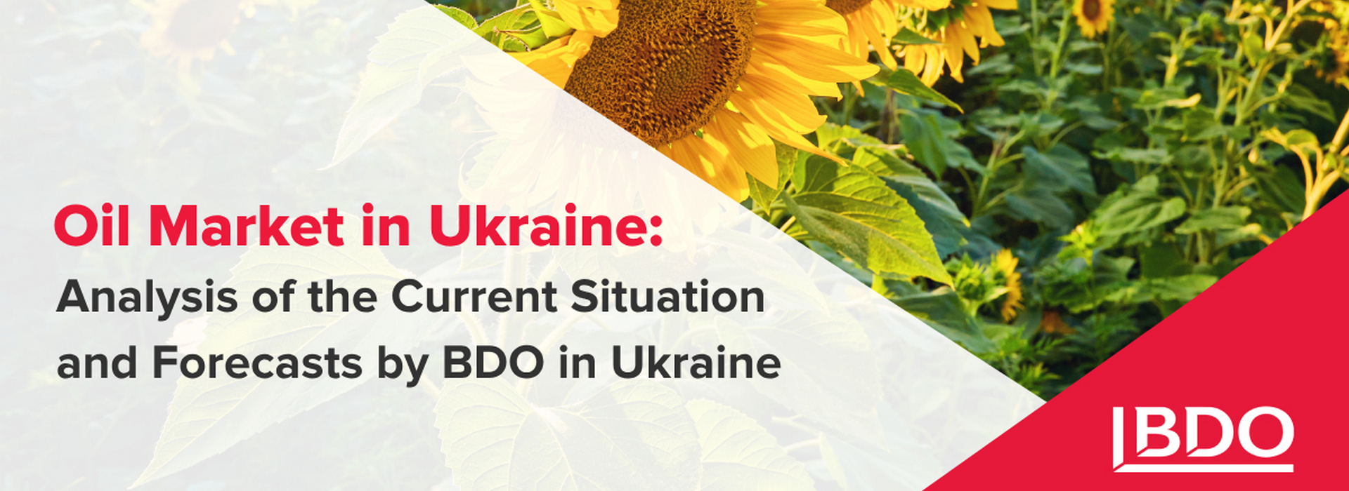Oil Market in Ukraine: Analysis of the Current Situation and Forecasts by BDO in Ukraine