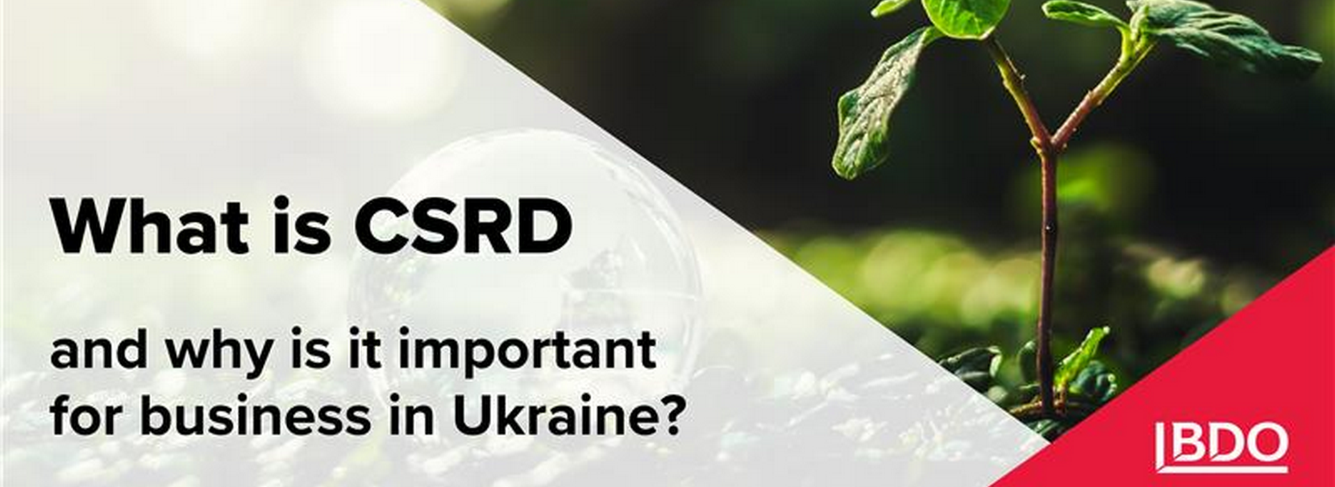 BDO in Ukraine About CSRD and Why It Is Important for Business in Ukraine?