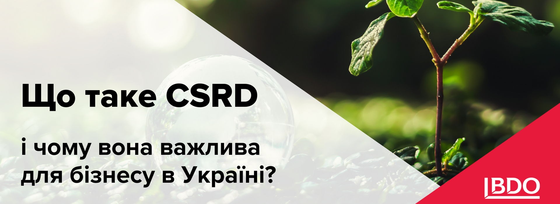 BDO в Україна про CSRD і чому це важливо для бізнесу в Україні?