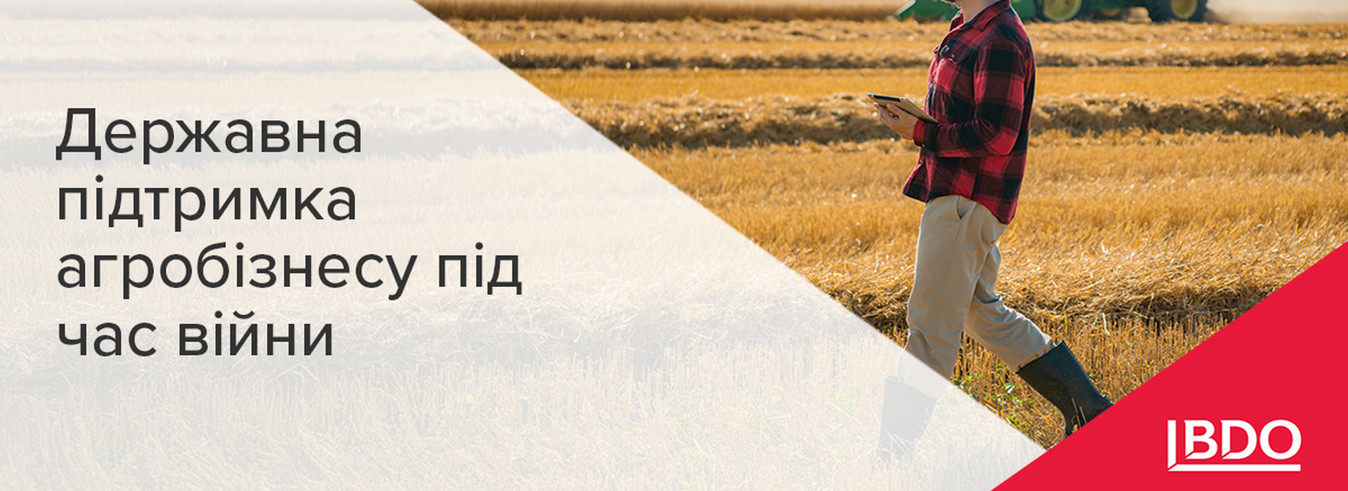 BDO в Україні про державну підтримку агробізнесу під час війни