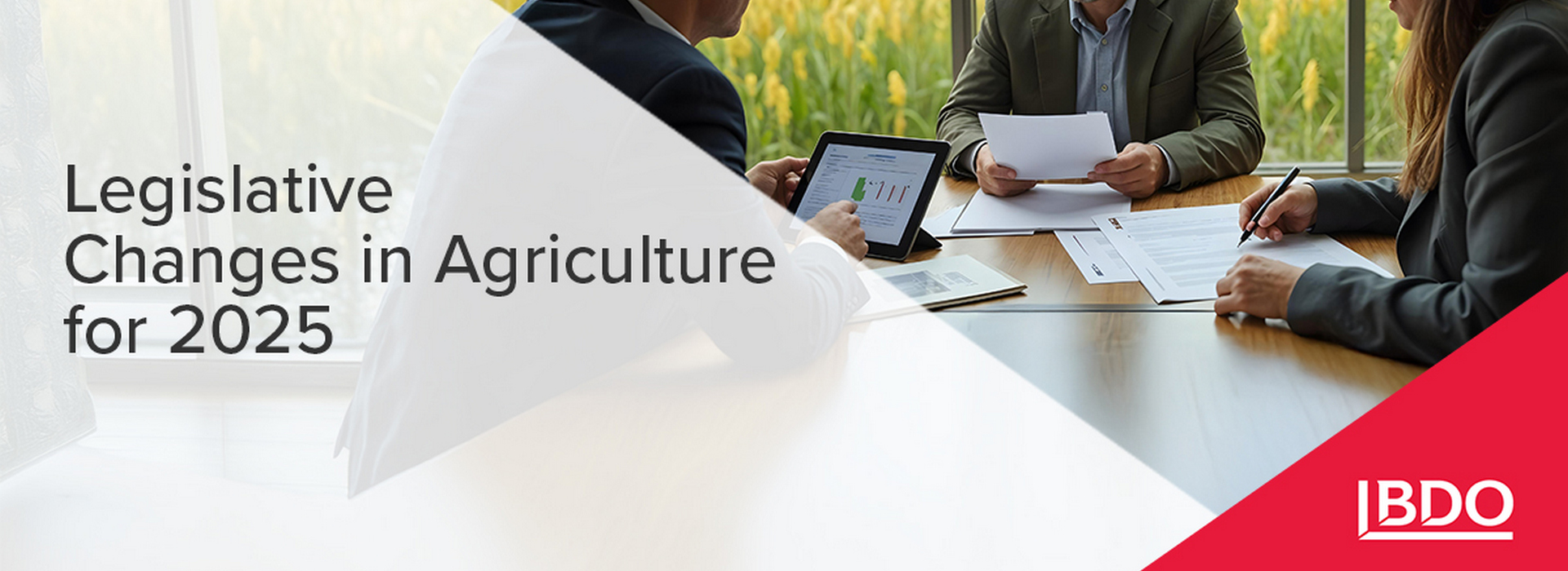 BDO in Ukraine about Legislative Changes in Agriculture for 2025