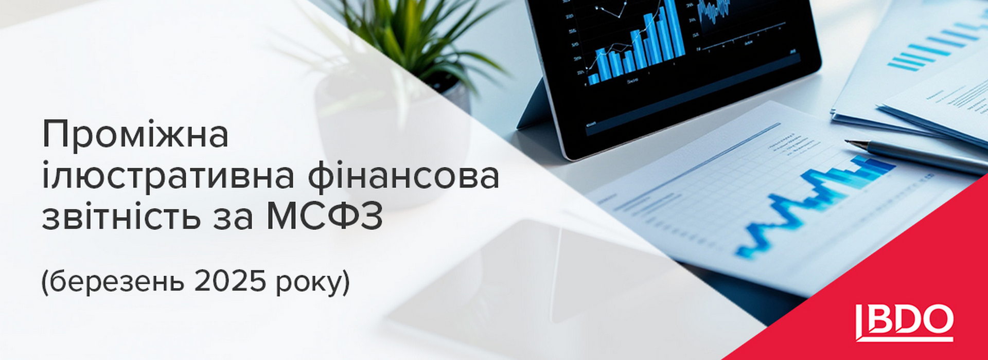 BDO в Україні: Проміжна ілюстративна фінансова звітність за МСФЗ (березень 2025 року)