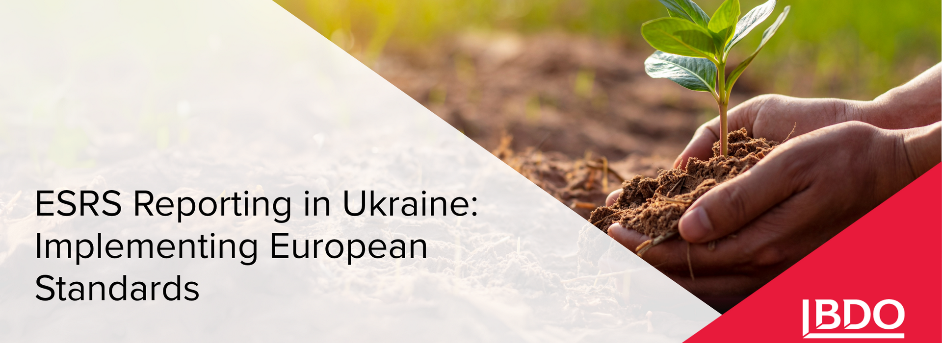 BDO in Ukraine about ESRS Reporting in Ukraine and Implementing European Standards