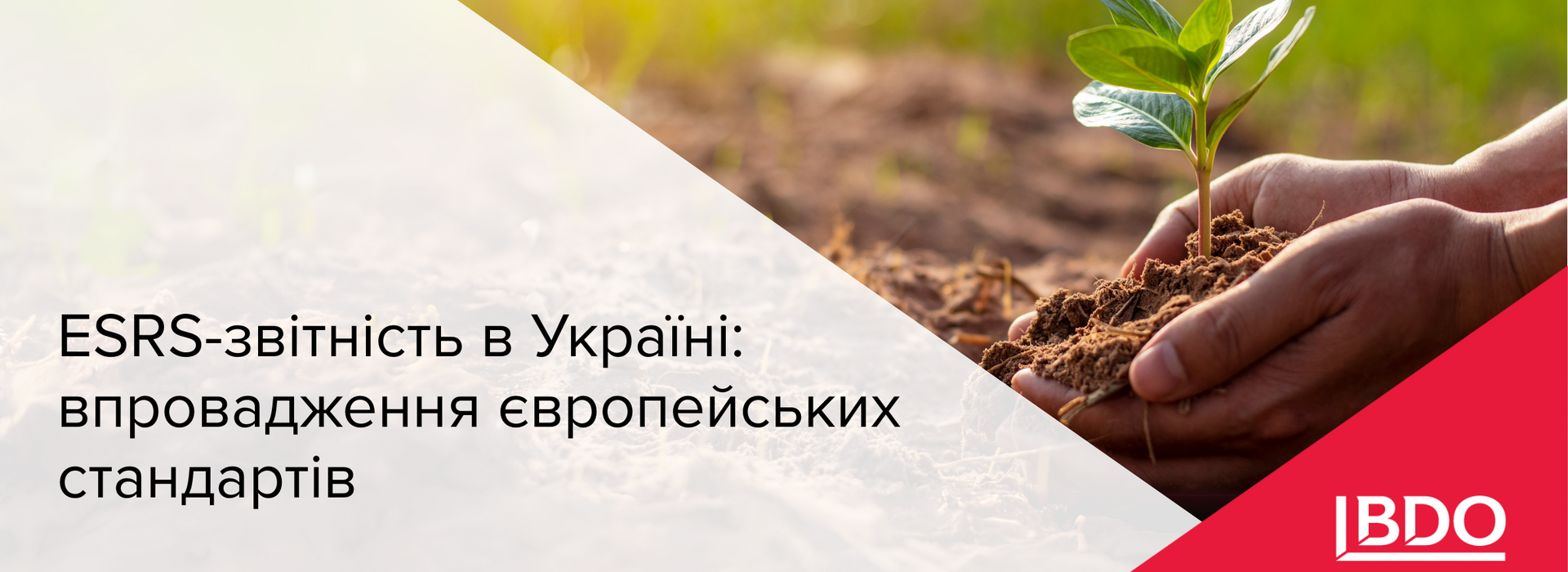 BDO в Україні про ESRS-звітність в Україні та впровадження європейських стандартів