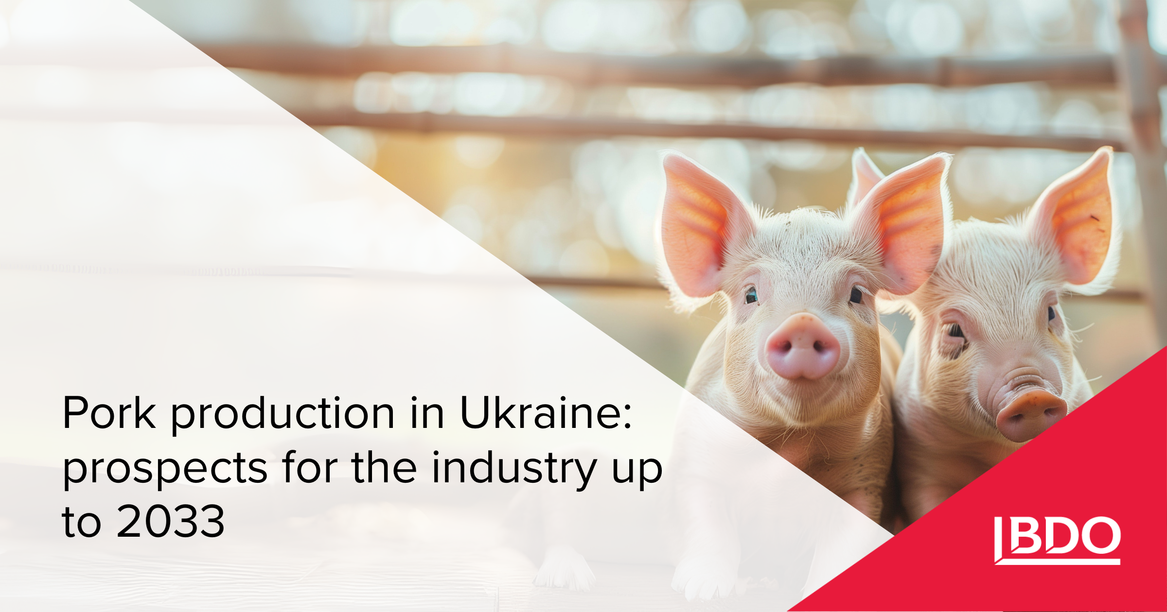 BDO in Ukraine: Pork production — prospects for the industry up to 2033