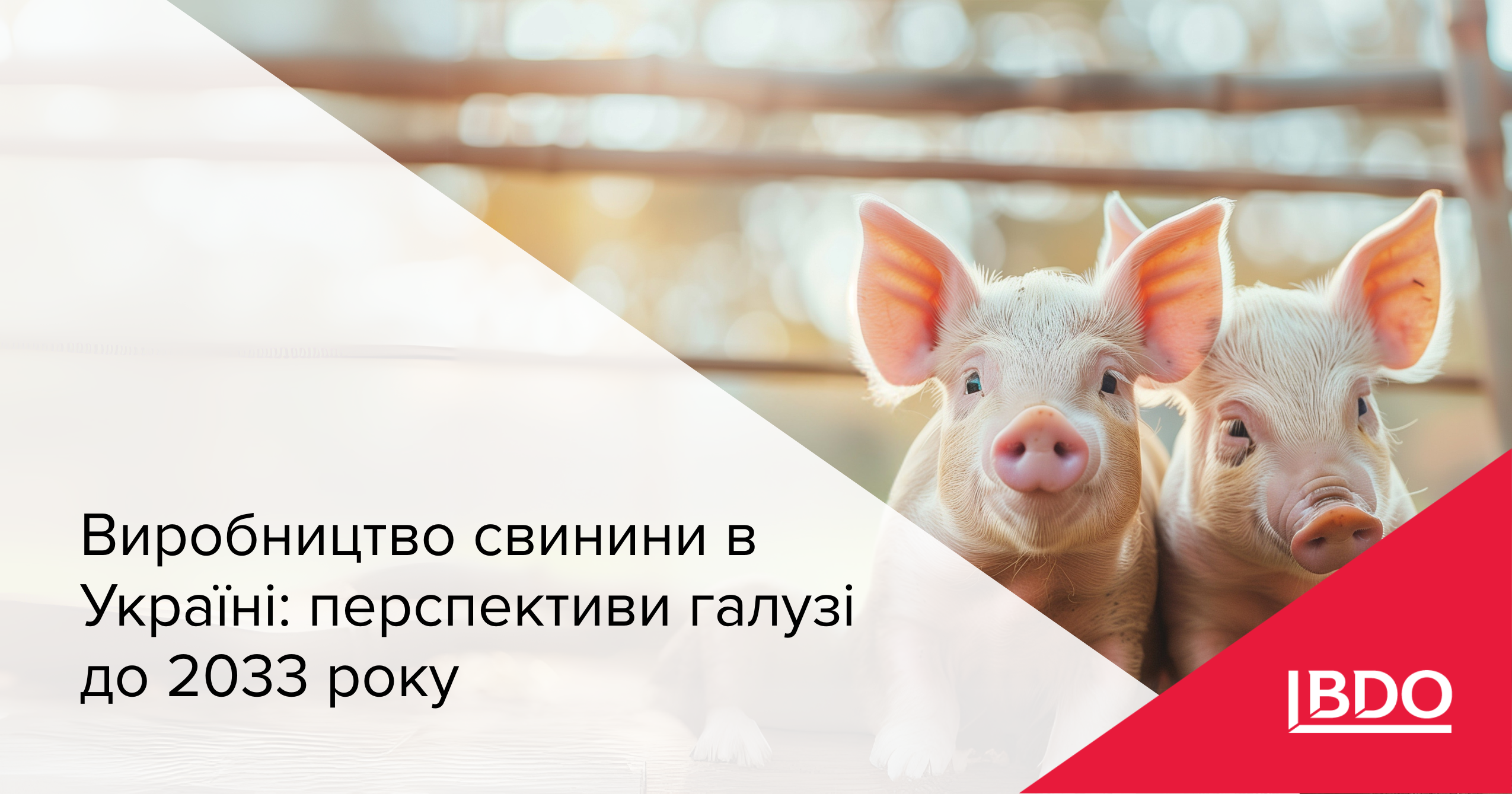 BDO в Україні: Виробництво свинини — перспективи галузі до 2033 року