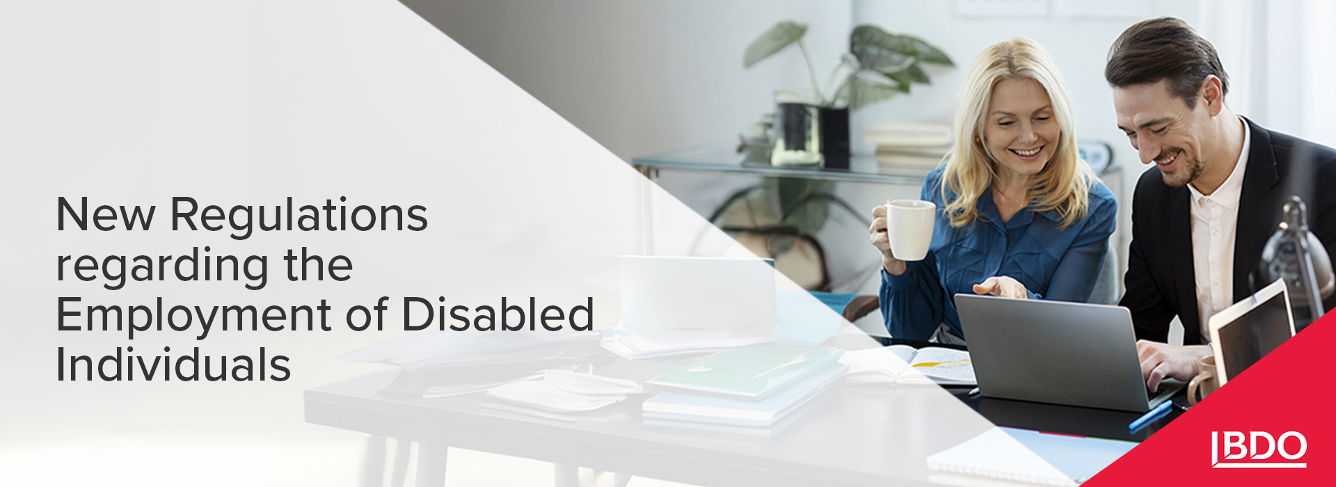 BDO in Ukraine: New Regulations regarding the Employment of Disabled Individuals