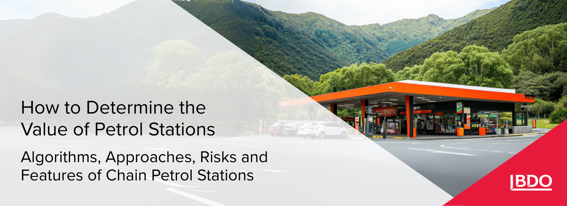 BDO in Ukraine: How to Determine the Value of Petrol Stations, Algorithms, Approaches, Risks and Features of Chain Petrol Stations