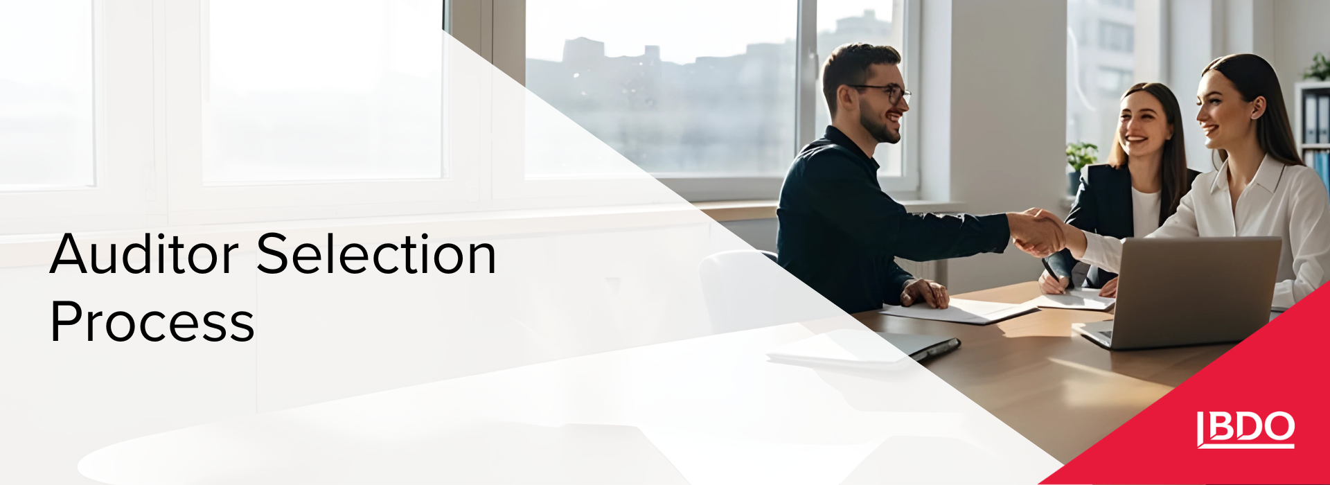 BDO in Ukraine: Auditor Selection Process