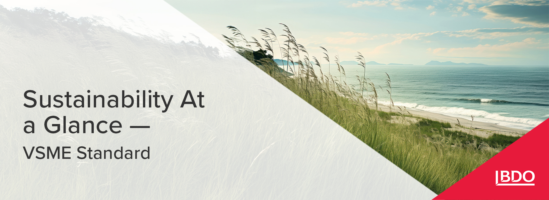 BDO in Ukraine: Sustainability At a Glance — VSME Standard