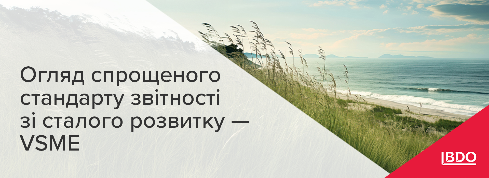 BDO в Україні: Огляд спрощеного стандарту звітності зі сталого розвитку — VSME
